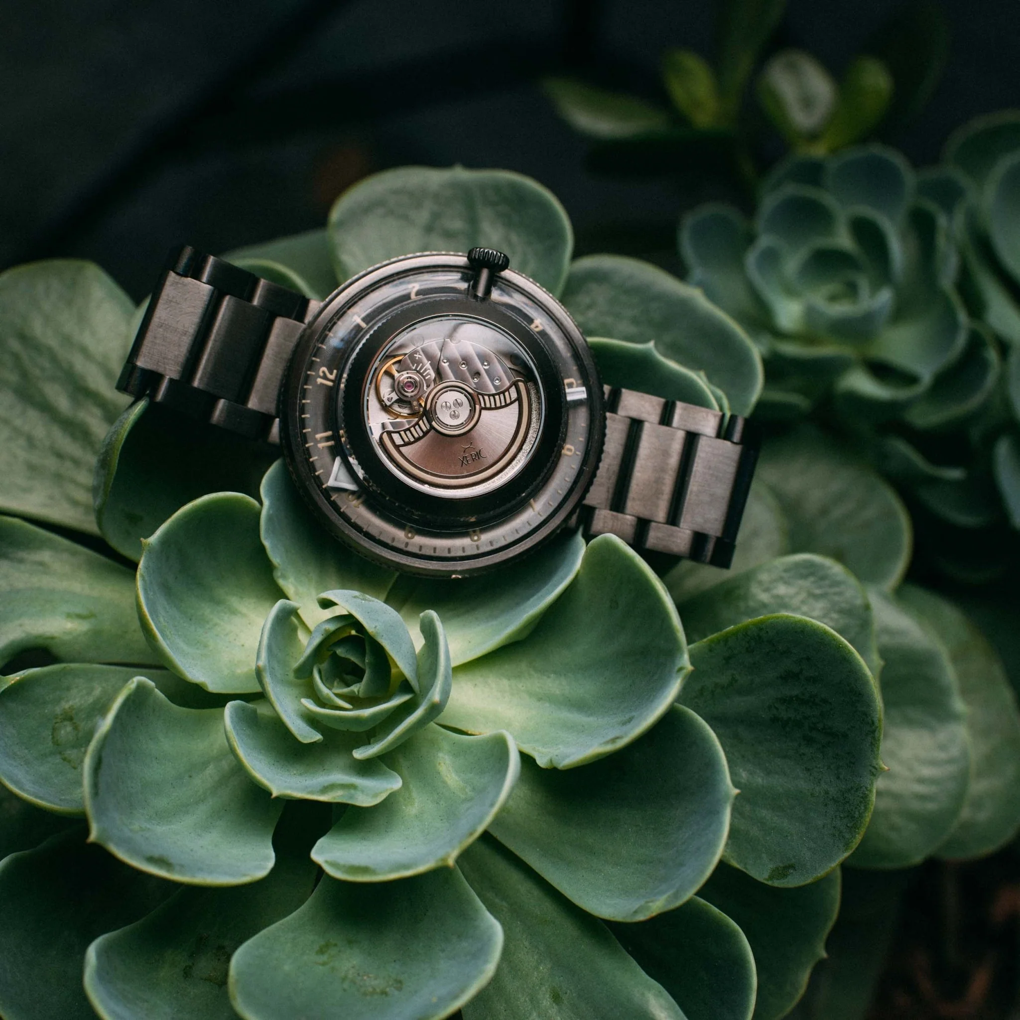 Xeric Invertor Automatic Gunmetal Brown Limited Edition - Image 6